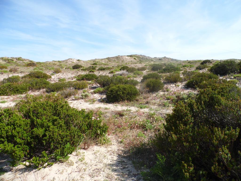 Peniche Blue Wave Home Atouguia Da Baleia Rom bilde
